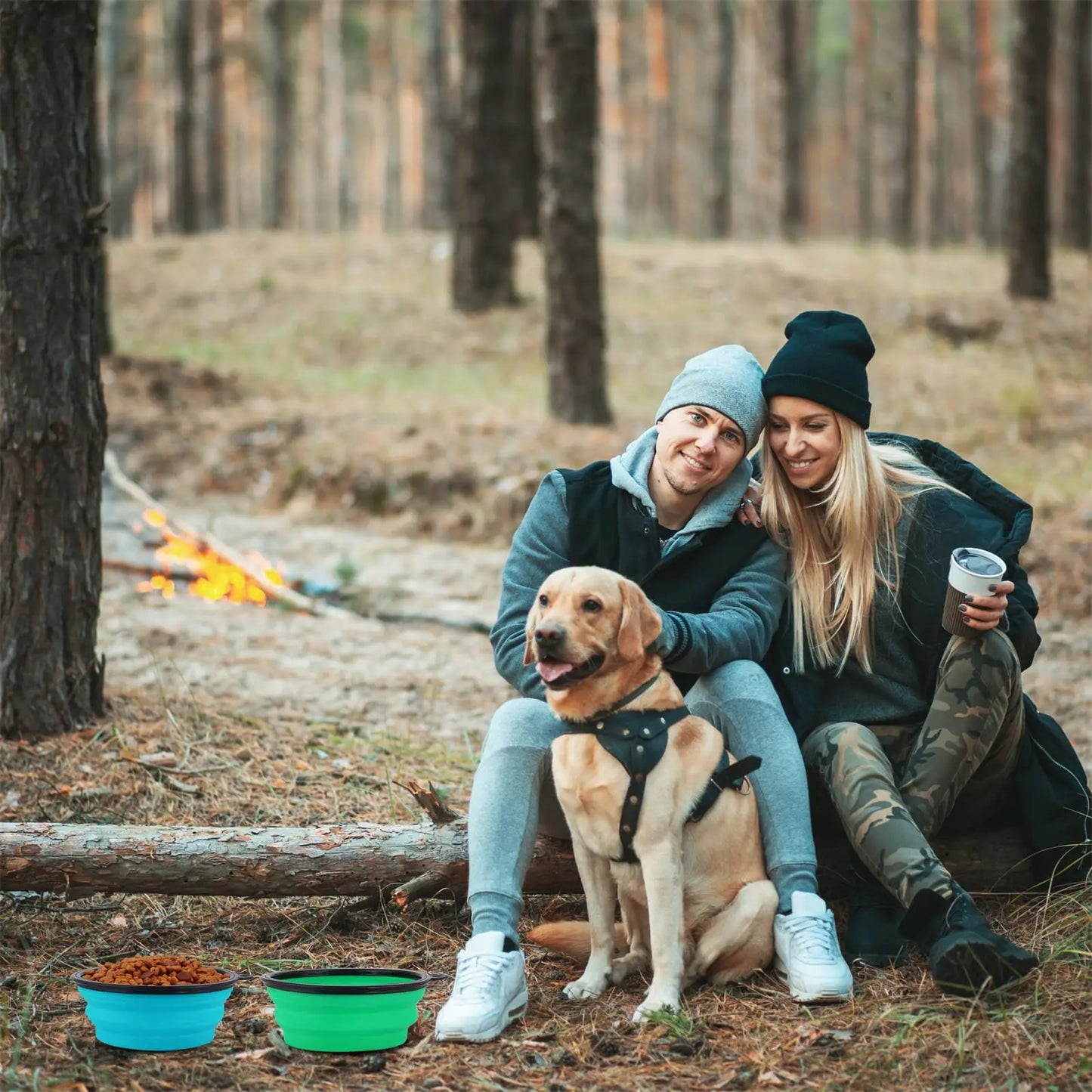 Collapsible Pet Silicone Dog Food Water Bowl With Bowl Lip Pet Outdoor Travel Portable Puppy Dishes with Carabiner Pet Supplies