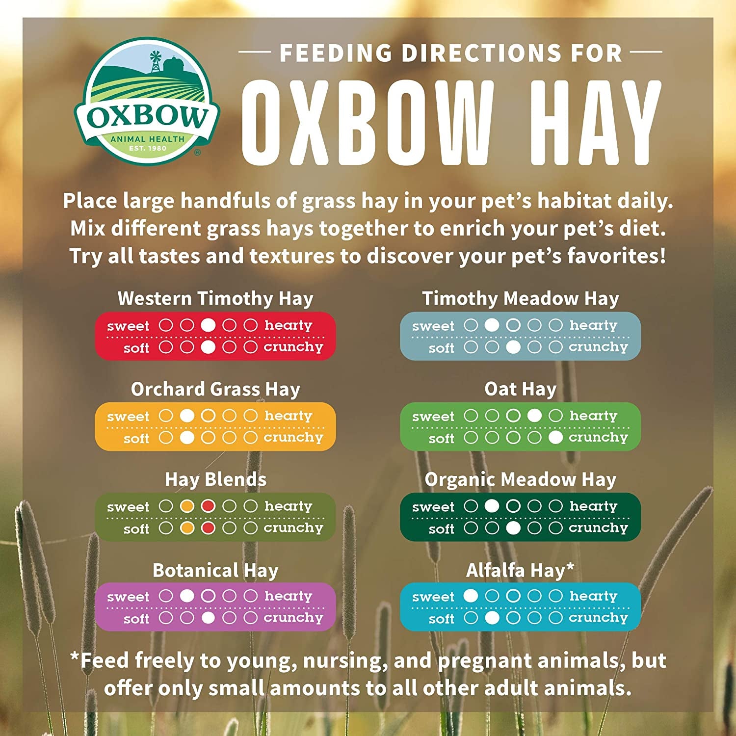 Oxbow Animal Health Oxbow Botanical Western Timothy Hay - All Natural Hay for Rabbits, Guinea Pigs, Chinchillas, Hamsters & Gerbils - 15 Oz.