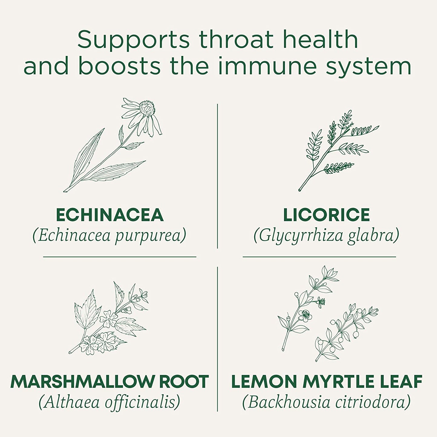 Traditional Medicinals Throat Coat Organic Pectin Throat Drops, Lemon Ginger Echinacea, Soothes Sore Throats, 16Ct.