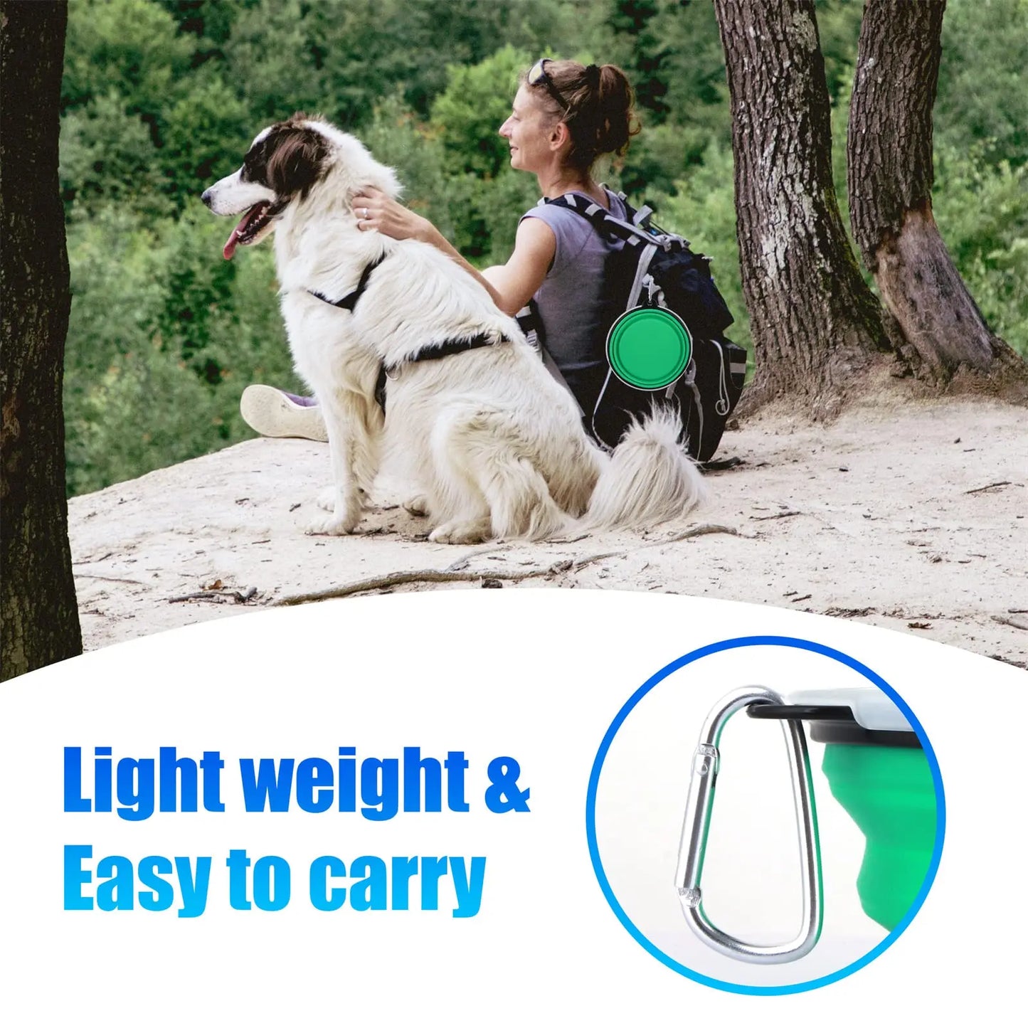 Collapsible Pet Silicone Dog Food Water Bowl With Bowl Lip Pet Outdoor Travel Portable Puppy Dishes with Carabiner Pet Supplies