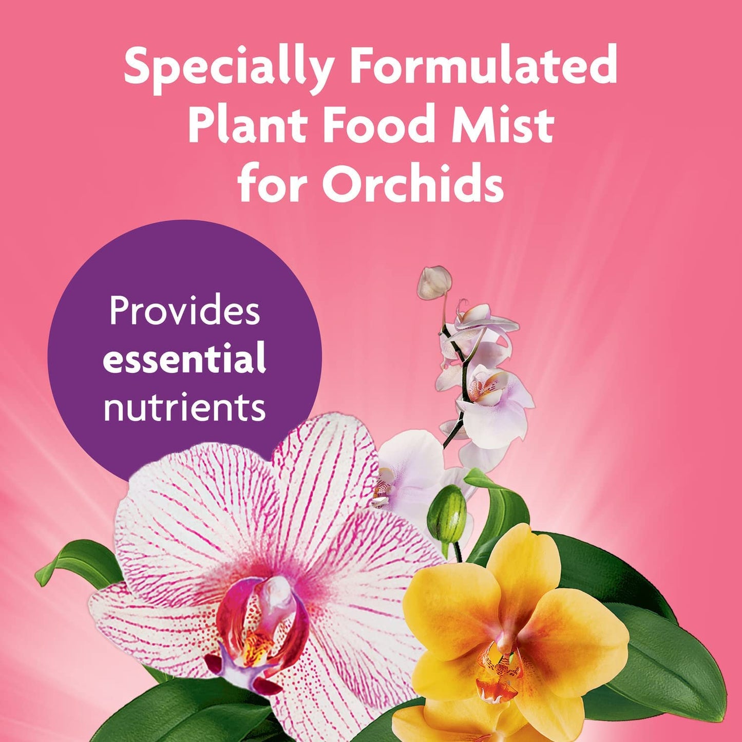 Miracle-Gro Ready-To-Use Orchid Plant Food Mist, 8 Oz., Feeds Plants Instantly, 1 Pack