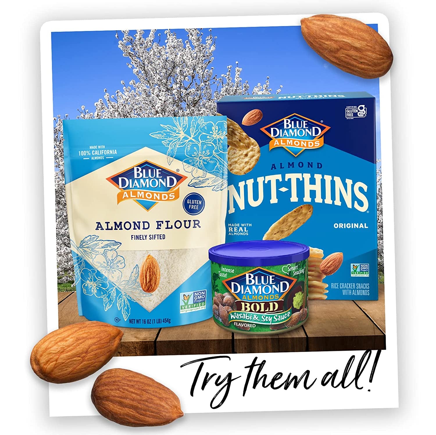 Blue Diamond Almonds Toasted Coconut Flavored Snack Nuts, 14 Oz Resealable Bag (Pack of 1)