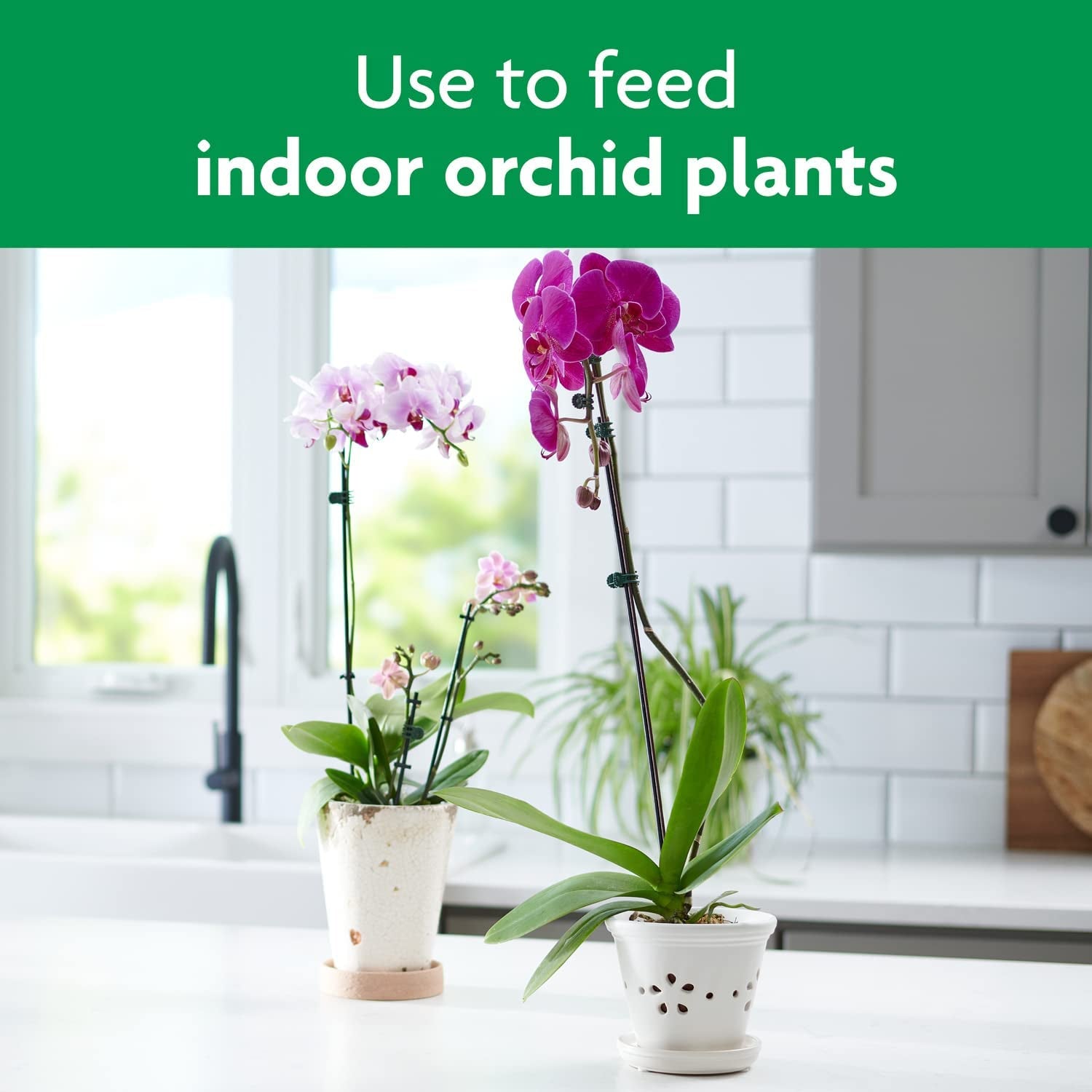 Miracle-Gro Ready-To-Use Orchid Plant Food Mist, 8 Oz., Feeds Plants Instantly, 1 Pack